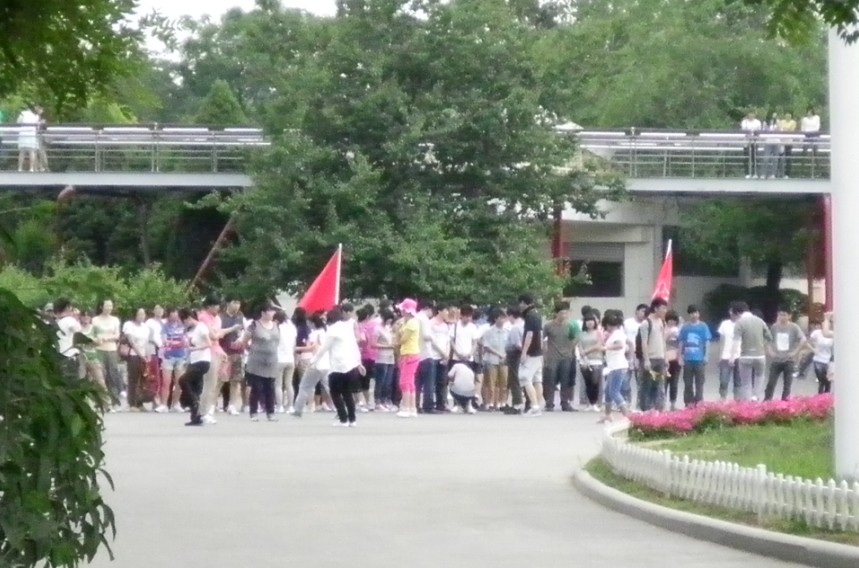 山东德衡人力资源