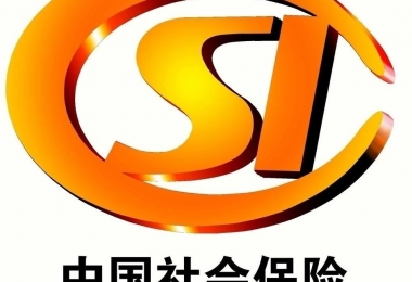 社会保障卡内的信息如何进行查询?